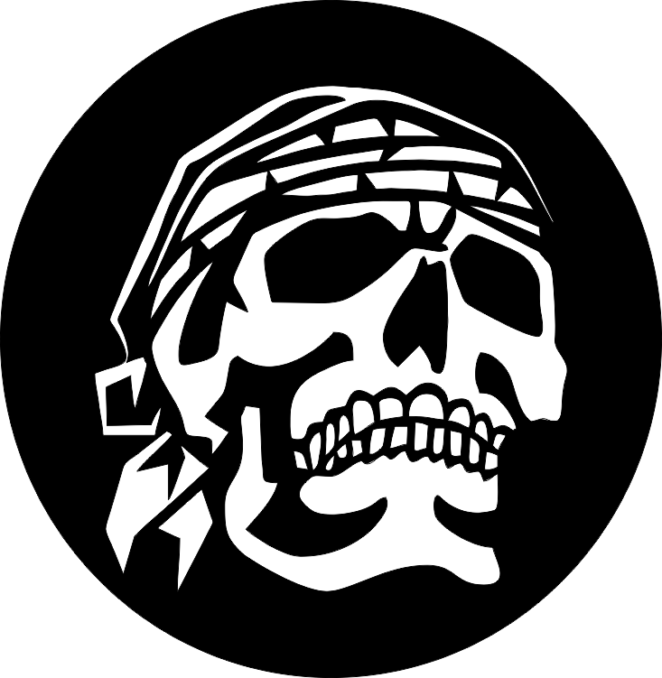 вектор пирата