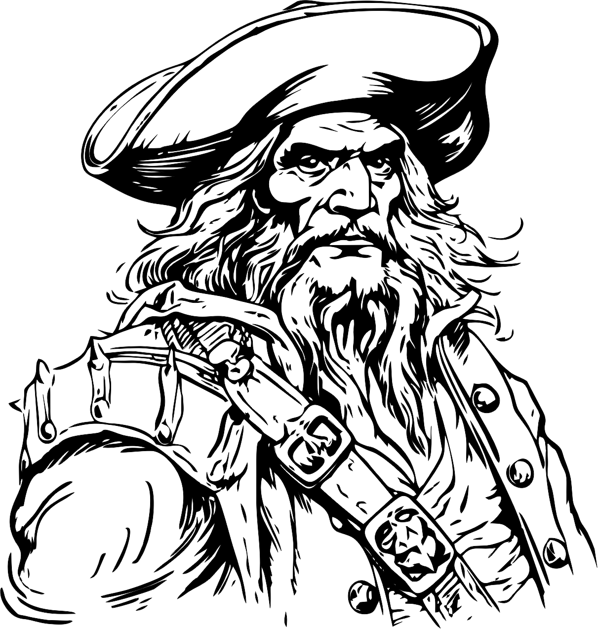 вектор пирата