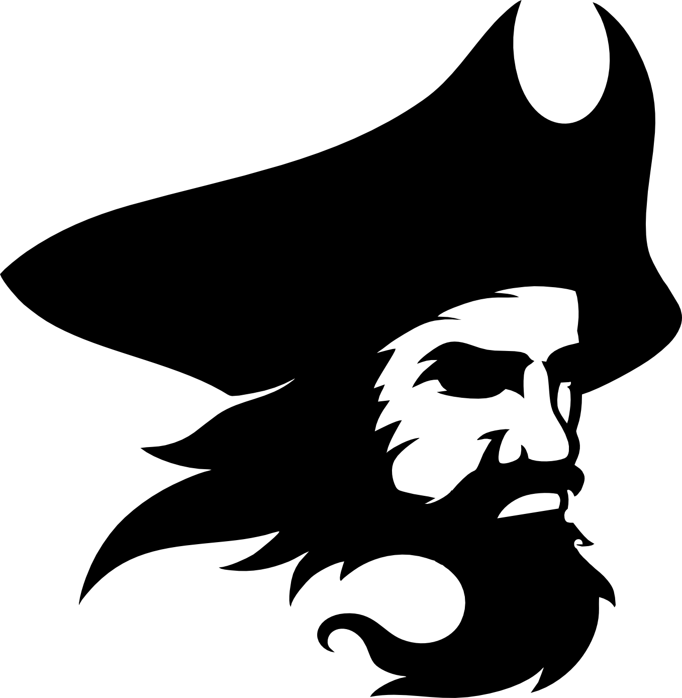 вектор пирата